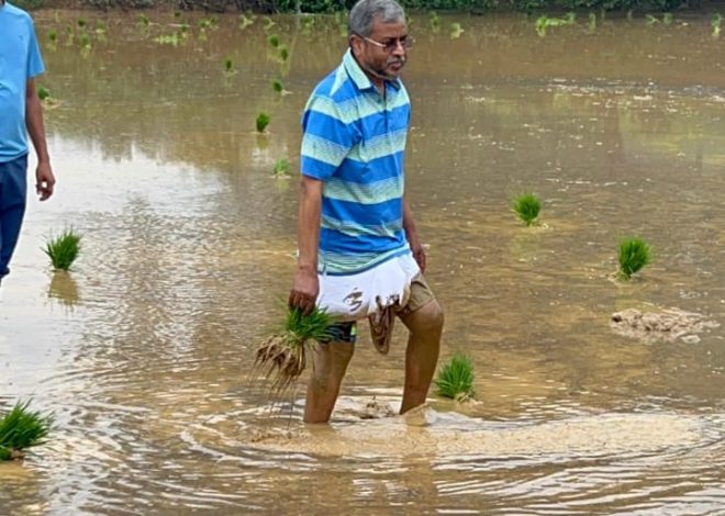 बाबूलाल मरांडी ने की धान की रोपाई, बोले- ‘खेतों में काम करना आत्मिक संतोष देता है’