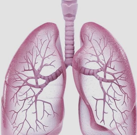 युवाओं का हो रहा है समय से पहले फेफड़ा खराब