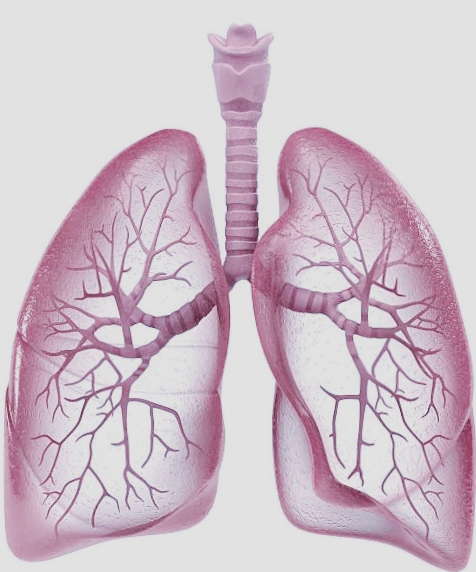 युवाओं का हो रहा है समय से पहले फेफड़ा खराब