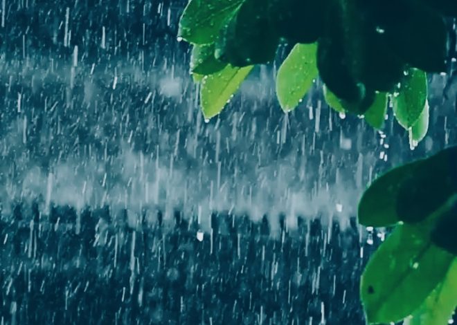 बंगाल की खाड़ी में निम्न दबाव के कारण बदला झारखंड का मिजाज