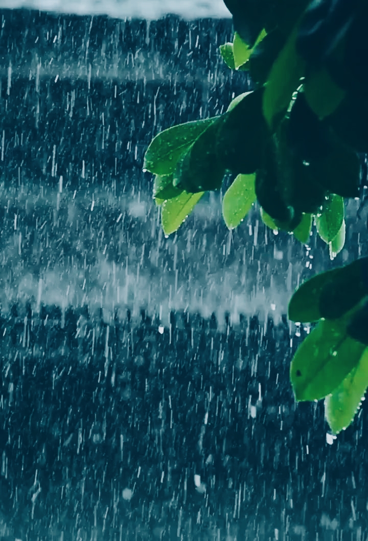 बंगाल की खाड़ी में निम्न दबाव के कारण बदला झारखंड का मिजाज 