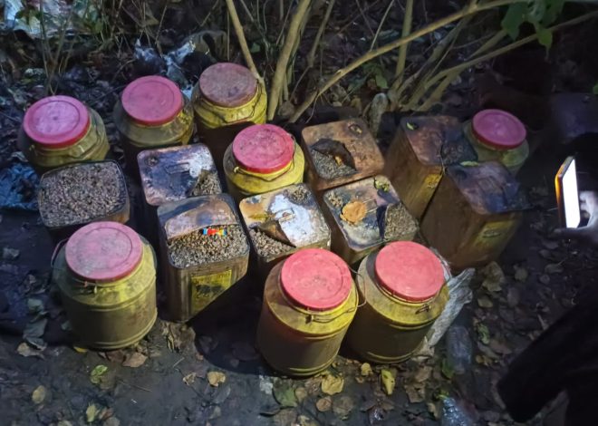 घाटशिला में बड़ी कार्रवाई: उत्पाद विभाग ने स्वर्णरेखा नदी किनारे अवैध शराब भट्टी पर मारा छापा, 750 किलो जावा महुआ नष्ट