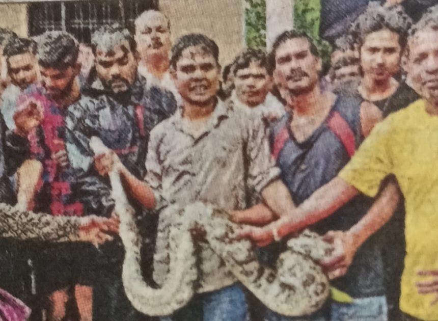 नामकुम में दहशत: मिश्रा टोली के घर में घुसा विशालकाय अजगर, वन विभाग ने किया रेस्क्यू  