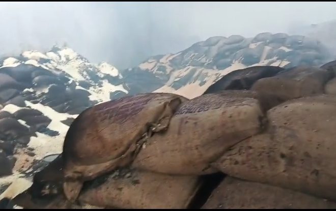 सरायकेला के गम्हरिया में सरकारी अनाज गोदाम में भीषण आग, सैकड़ों बोरे चावल जलकर राख
