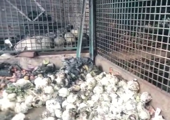 हजारीबाग के पेठिया डेली मार्केट में भीषण आग, 27 दुकानें राख लाखों का नुकसान