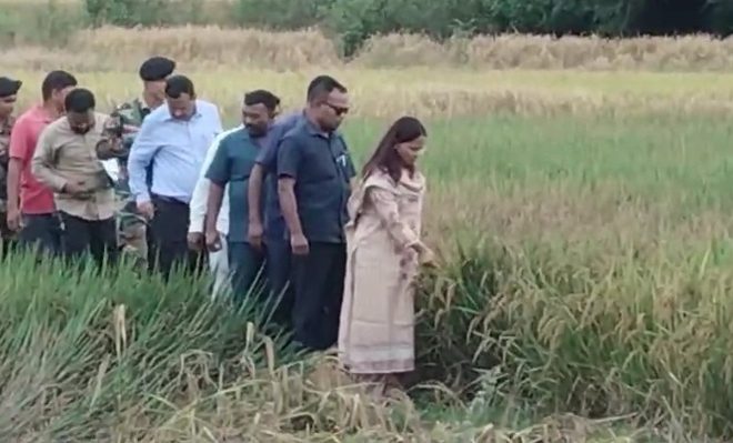 देवघर में बेमौसम बारिश से धान की फसल चौपट, कृषि मंत्री शिल्पी नेहा तिर्की ने किया खेतों का निरीक्षण