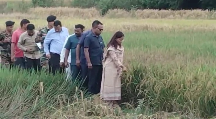 देवघर में बेमौसम बारिश से धान की फसल चौपट, कृषि मंत्री शिल्पी नेहा तिर्की ने किया खेतों का निरीक्षण