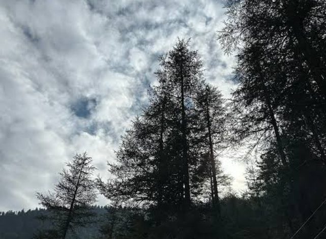 ठंडी हवाओं ने दी दस्तक, झारखंड भर में महसूस होने लगा सर्दी का असर    