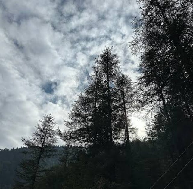 ठंडी हवाओं ने दी दस्तक, झारखंड भर में महसूस होने लगा सर्दी का असर    