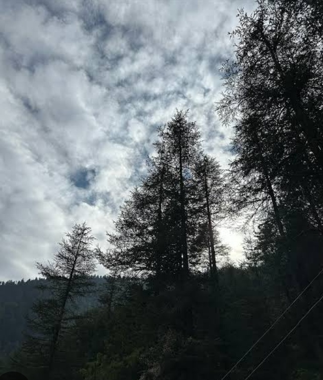 ठंडी हवाओं ने दी दस्तक, झारखंड भर में महसूस होने लगा सर्दी का असर    